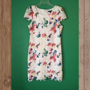 NWOT Sharagano Dress